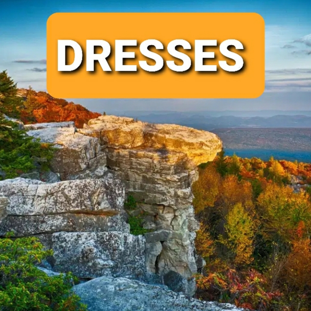 👗 DRESSES